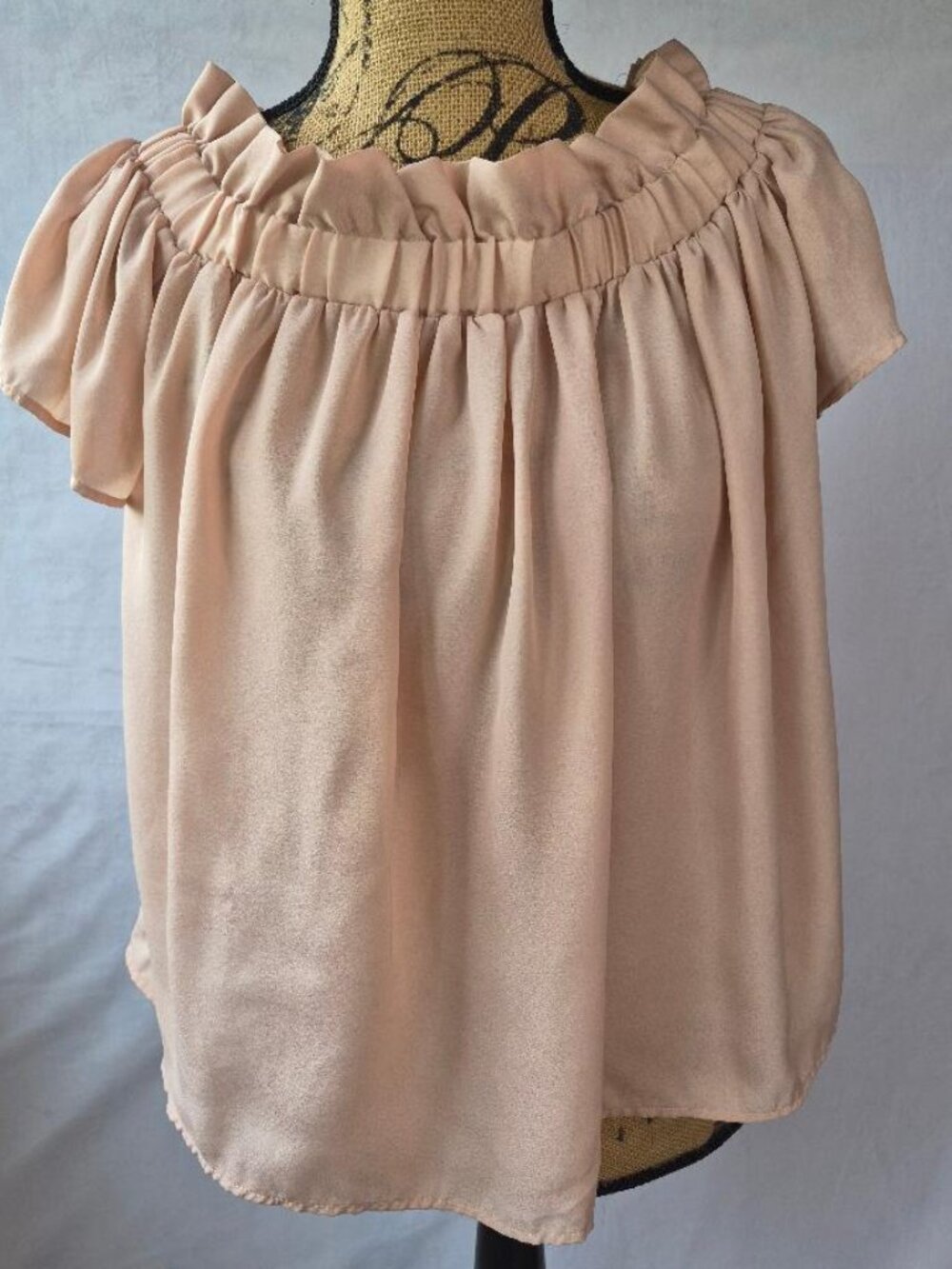 Lucca Women's Blouse  S Beige Off Shoulder Short Sleeve Pleated Comfort Casual